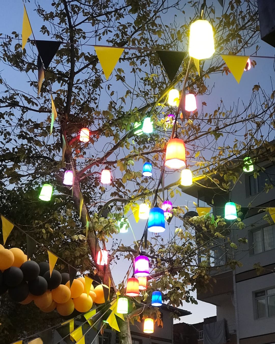 Ankara Elektriçi
